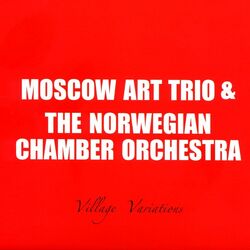 Cover of Village Variations