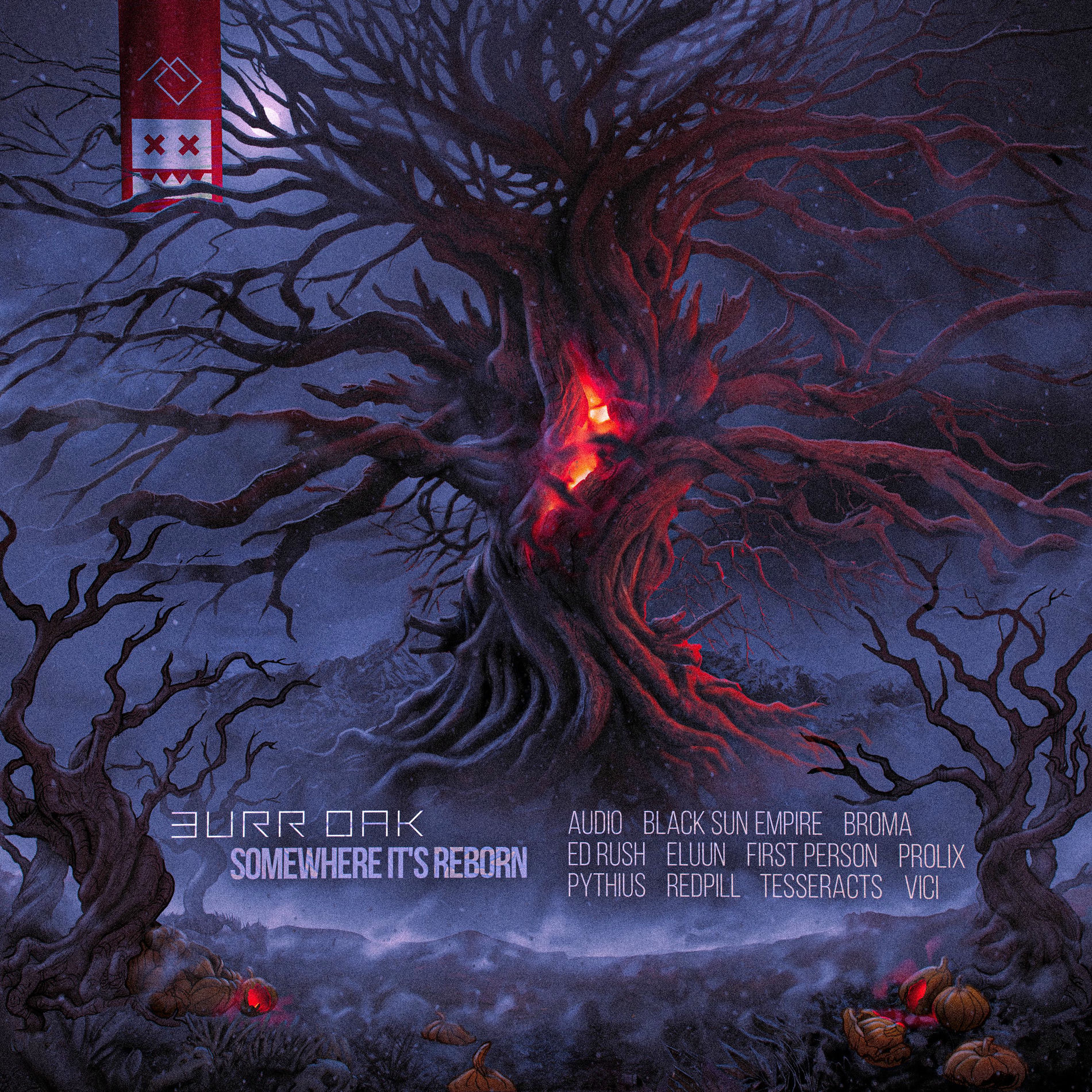 Album cover of Somewhere It's Reborn