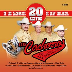 Cover of 20 Exitos De Los Cachorros De Juan Villarreal
