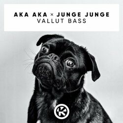 music cover
