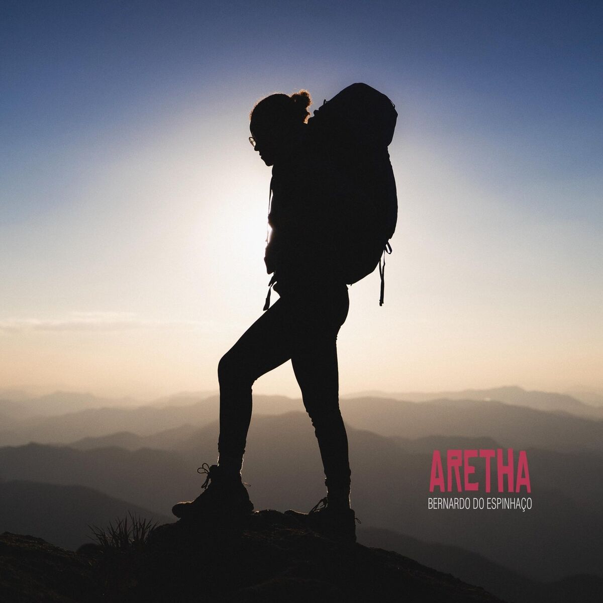 Album cover of Aretha