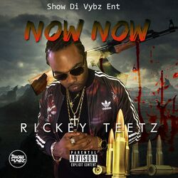 Cover of Now Now - Single