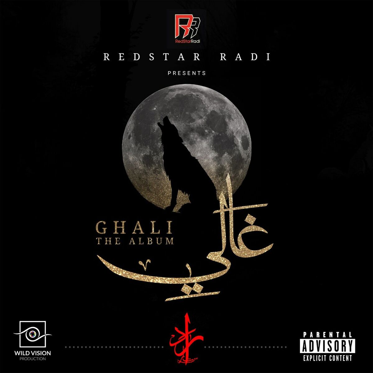 Album cover of GHALI ALBUM
