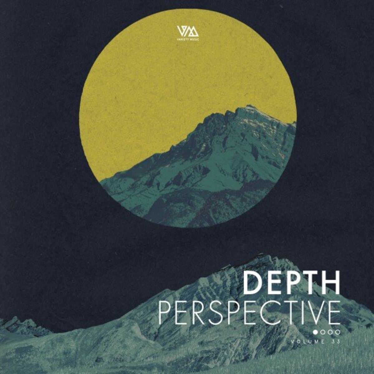 Album cover of Depth Perspective, Vol. 33