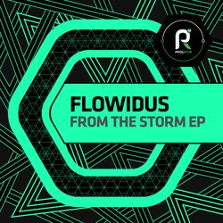 Cover of From the Storm EP