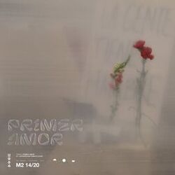 Cover of Primer Amor (Live)