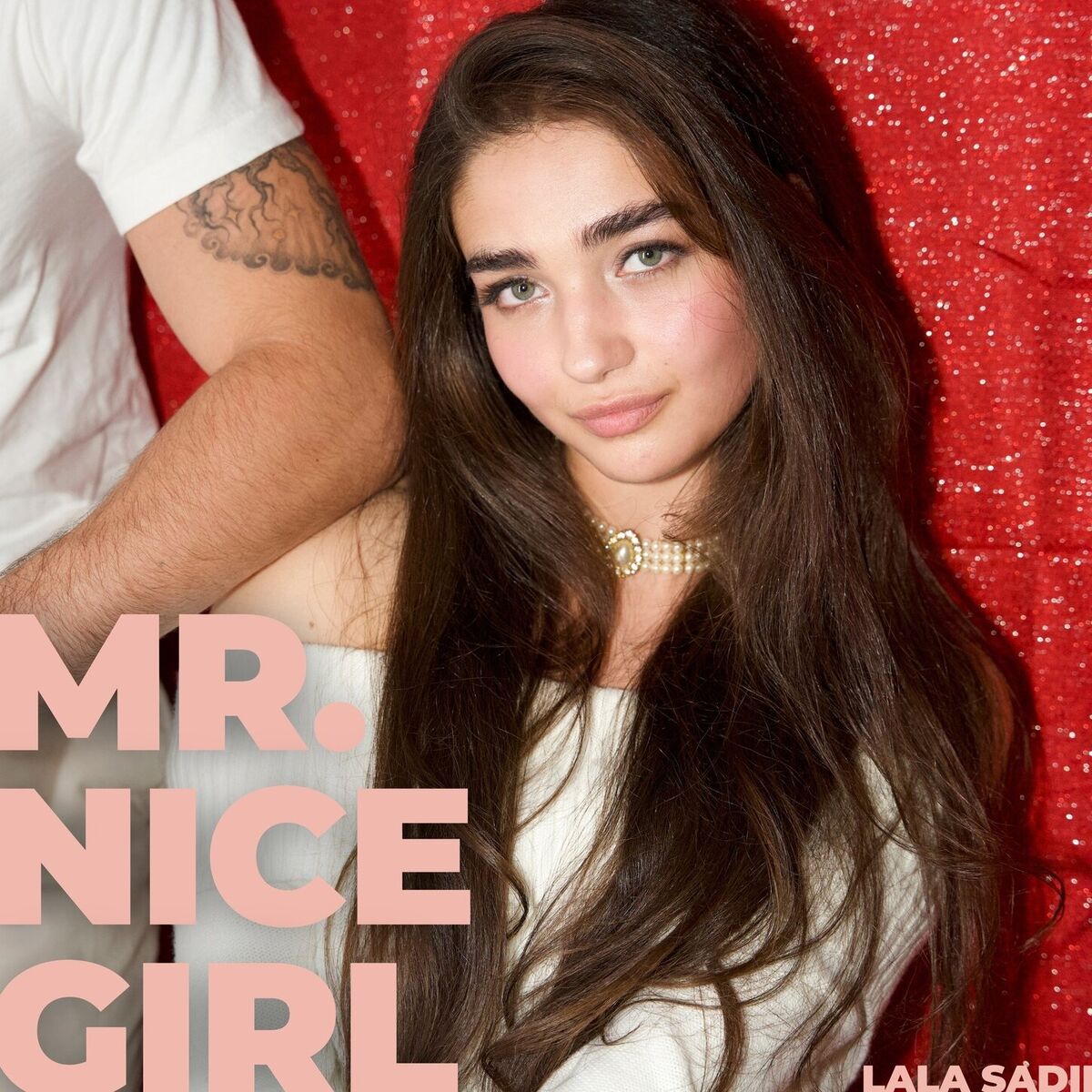 Album cover of Mr. Nice Girl