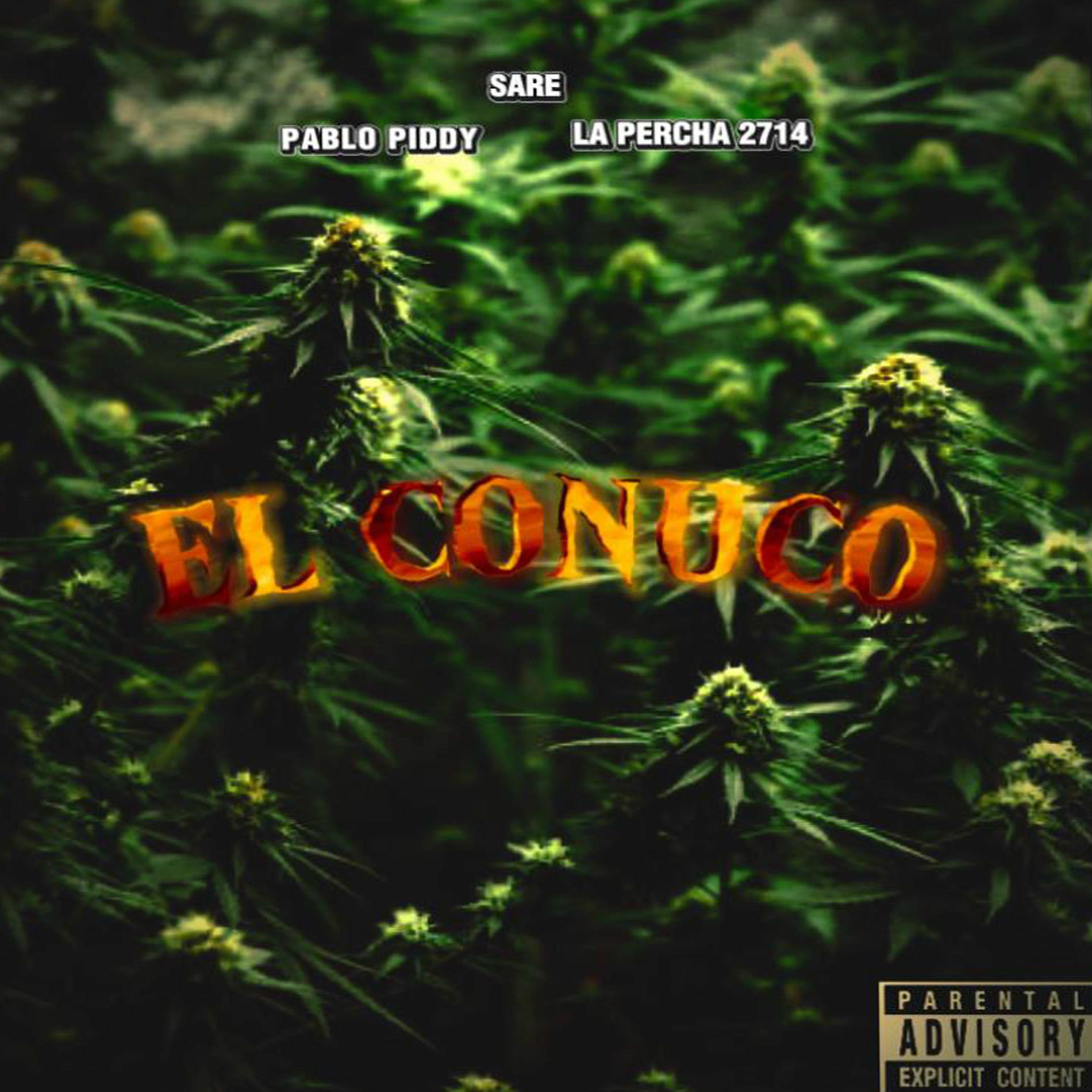 Album cover of EL CONUCO