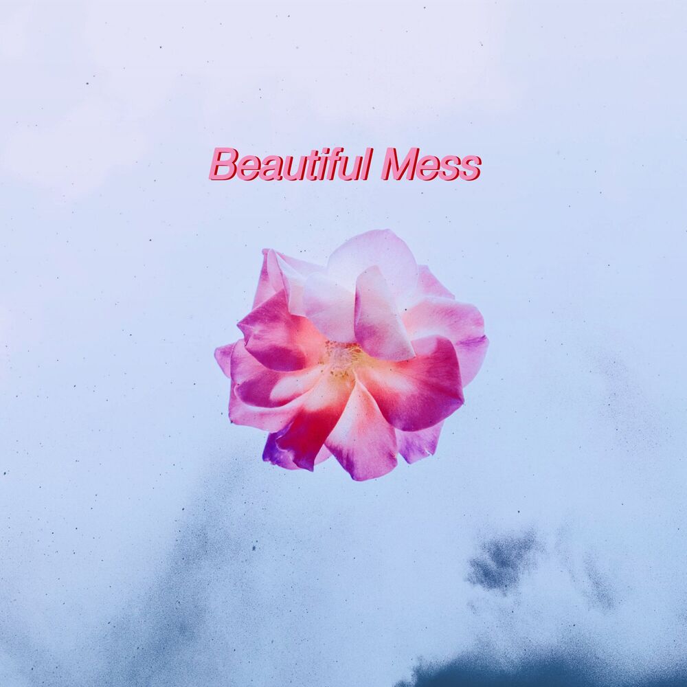 Picture of Beautiful Mess