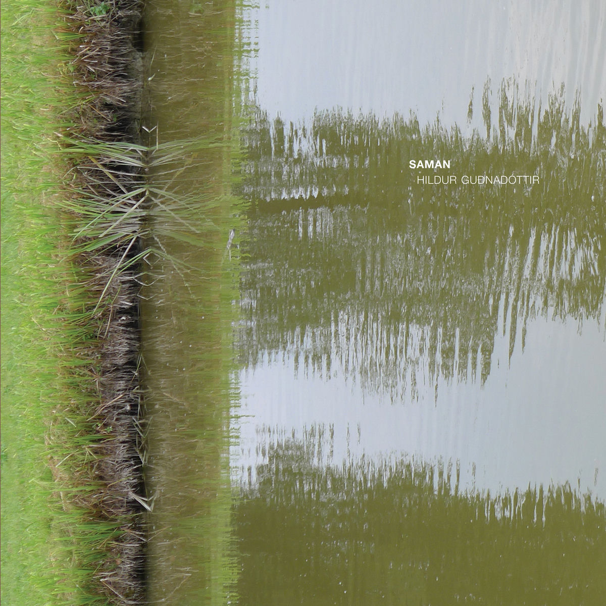 Album picture of Saman