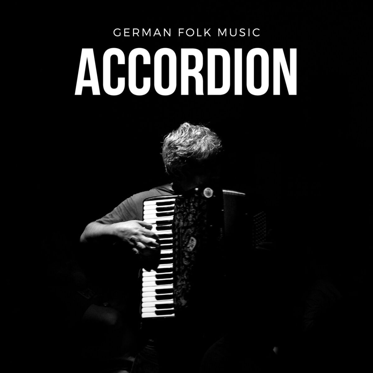 Album cover of German Folk Music Accordion