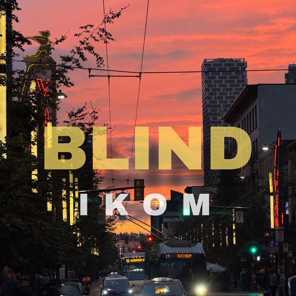 Picture of Blind