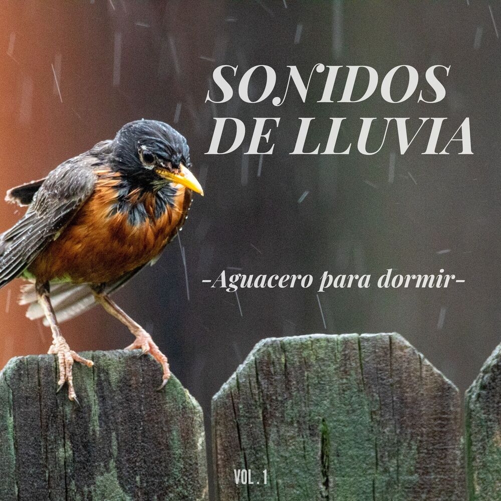 Picture of Sonidos de lluvia: Aguacero para dormir Vol.1