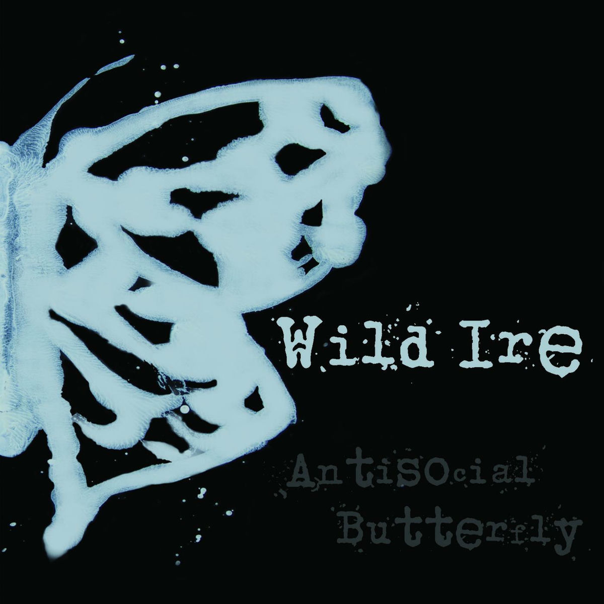 Album cover of Antisocial Butterfly