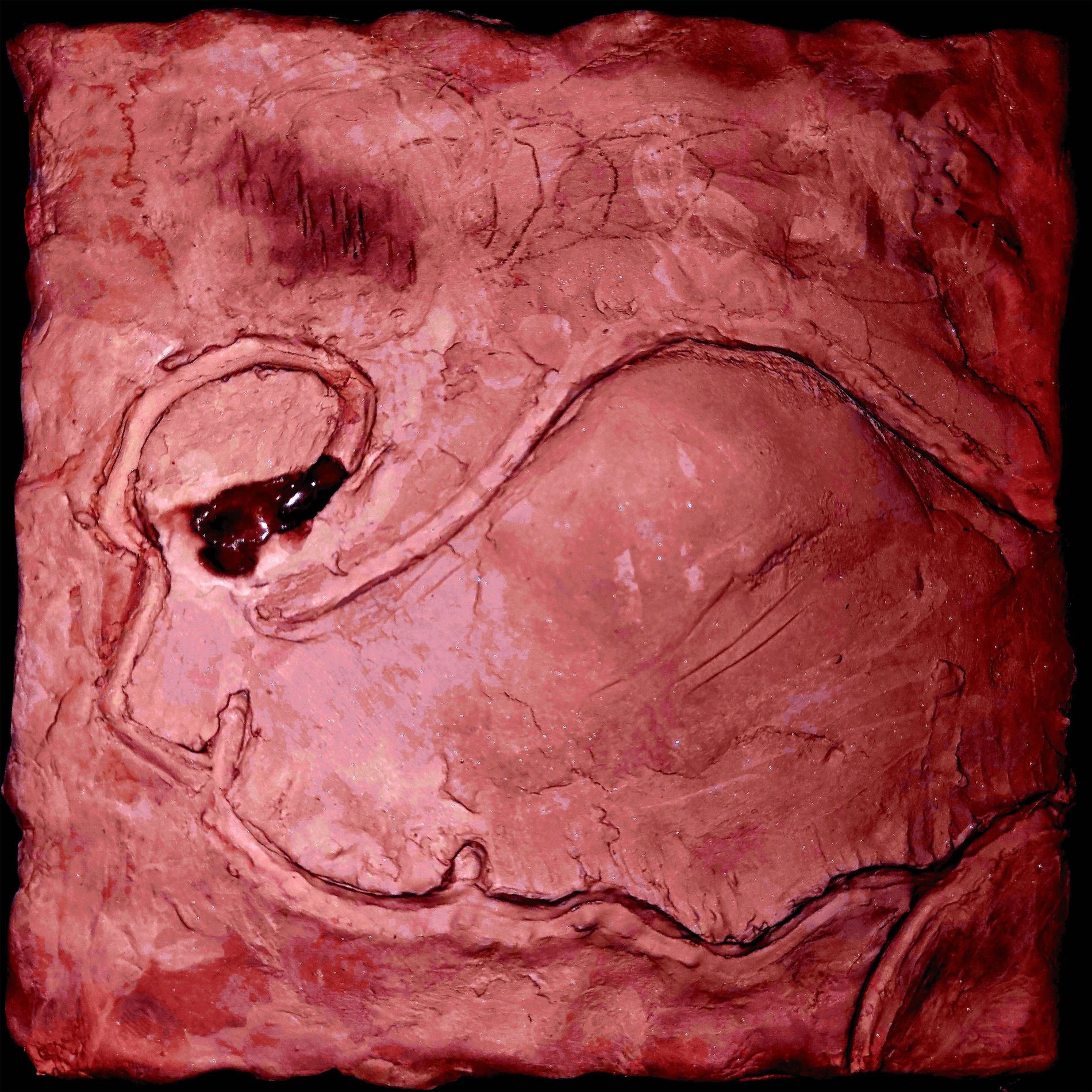 Album cover of The Scarlet Meadow