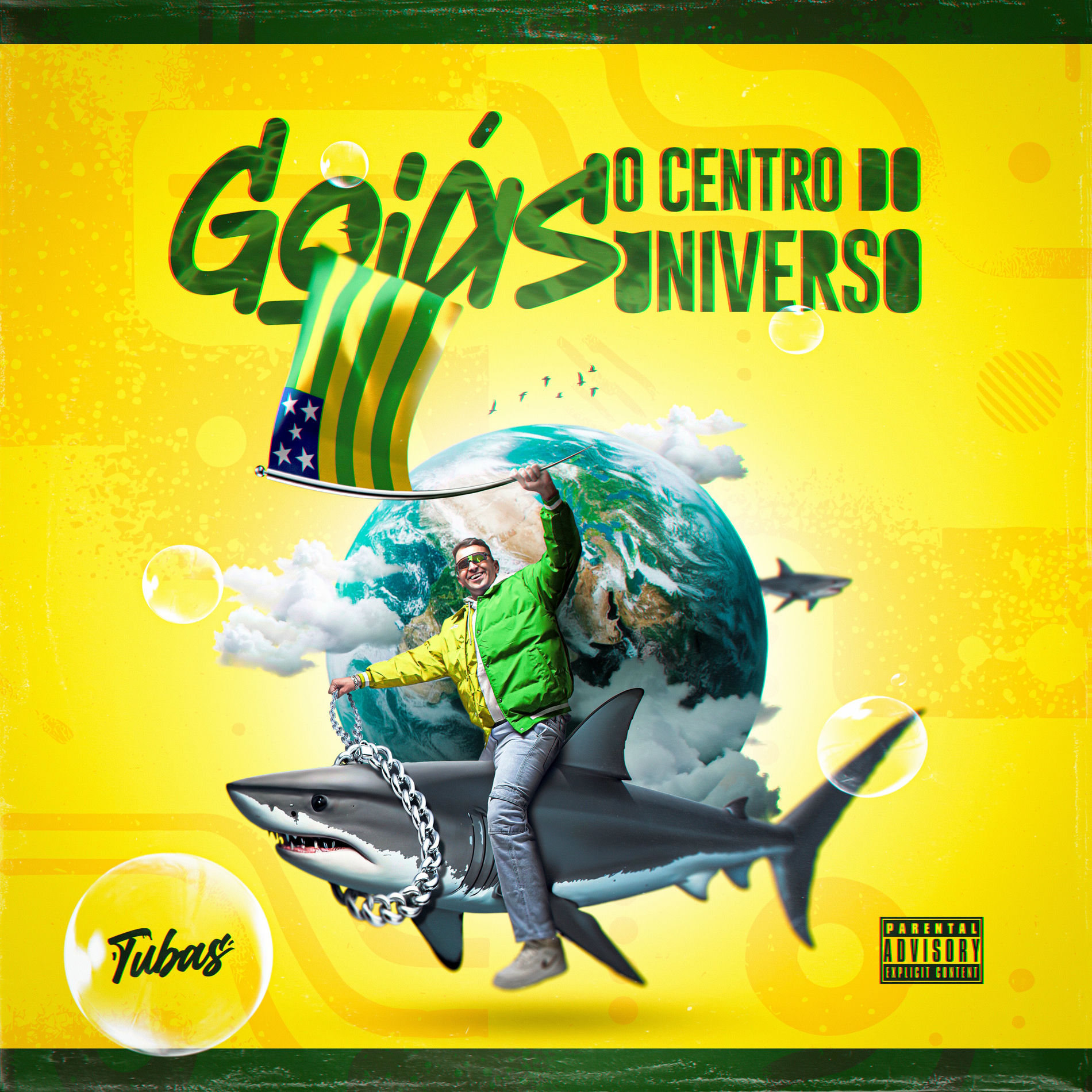 Album cover of A Culpa É Sua