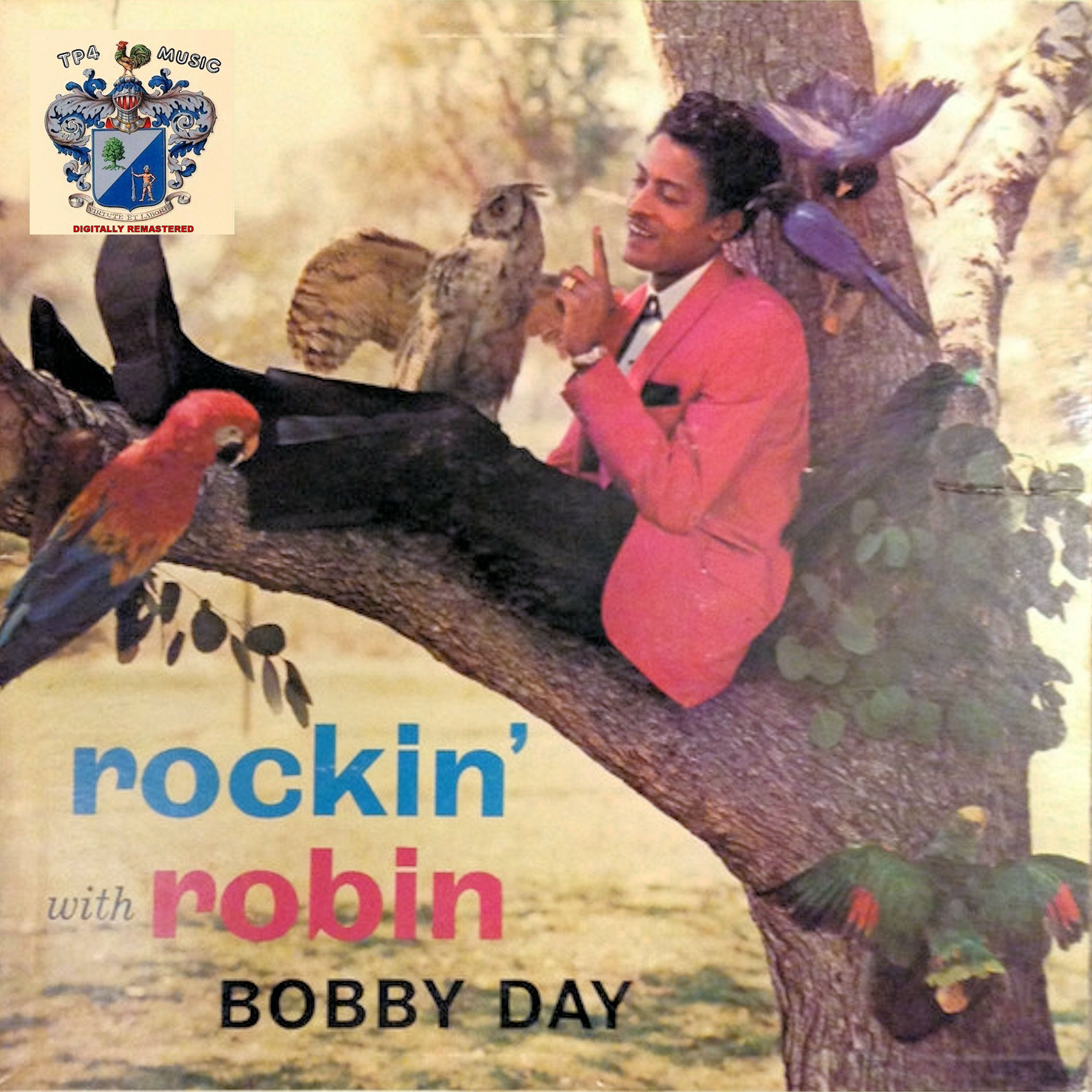Album cover of Rockin' Robin