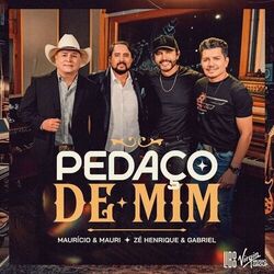 Pedaço De Mim
