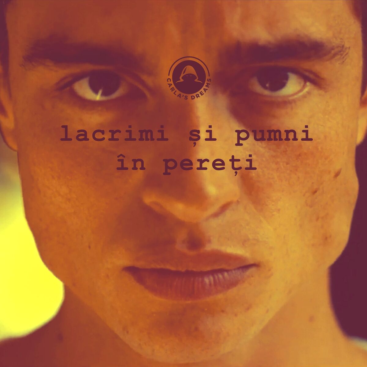 Album cover of Lacrimi Si Pumni In Pereti