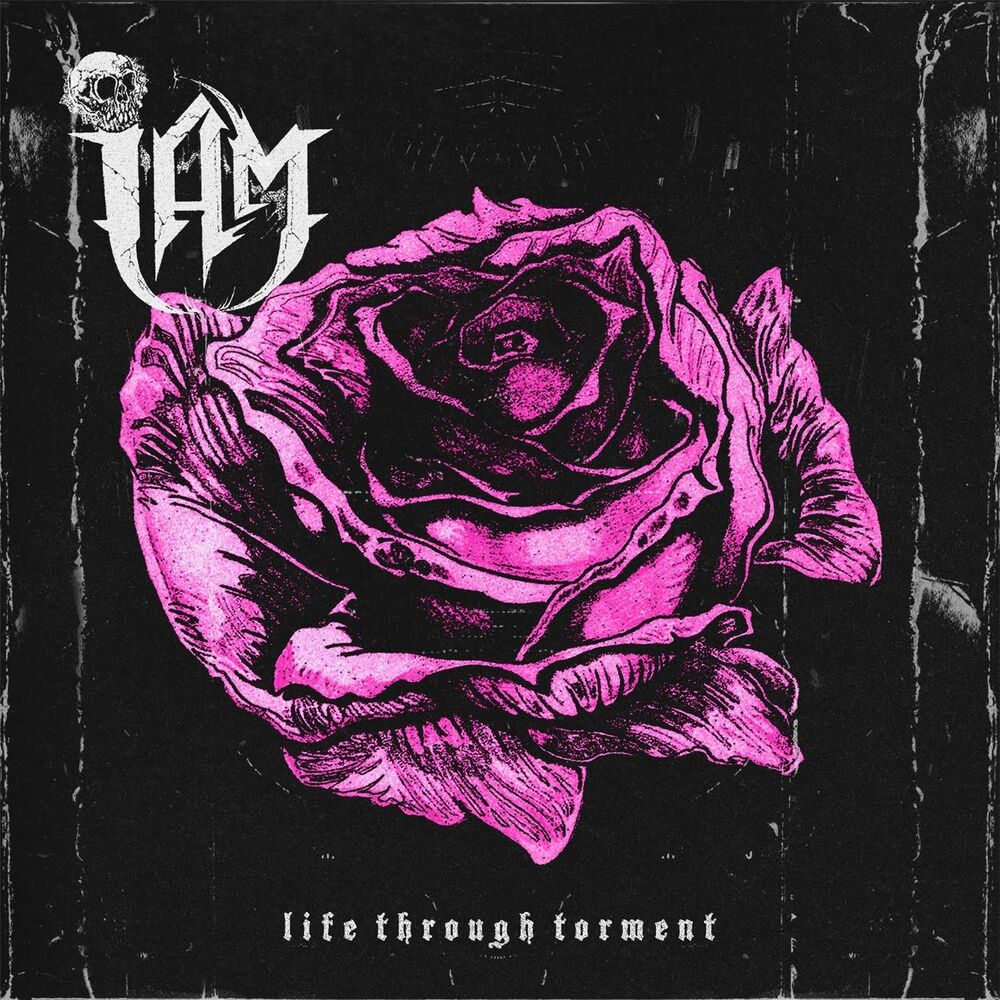 Picture of Life Through Torment