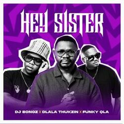 Cover of Hey Sister