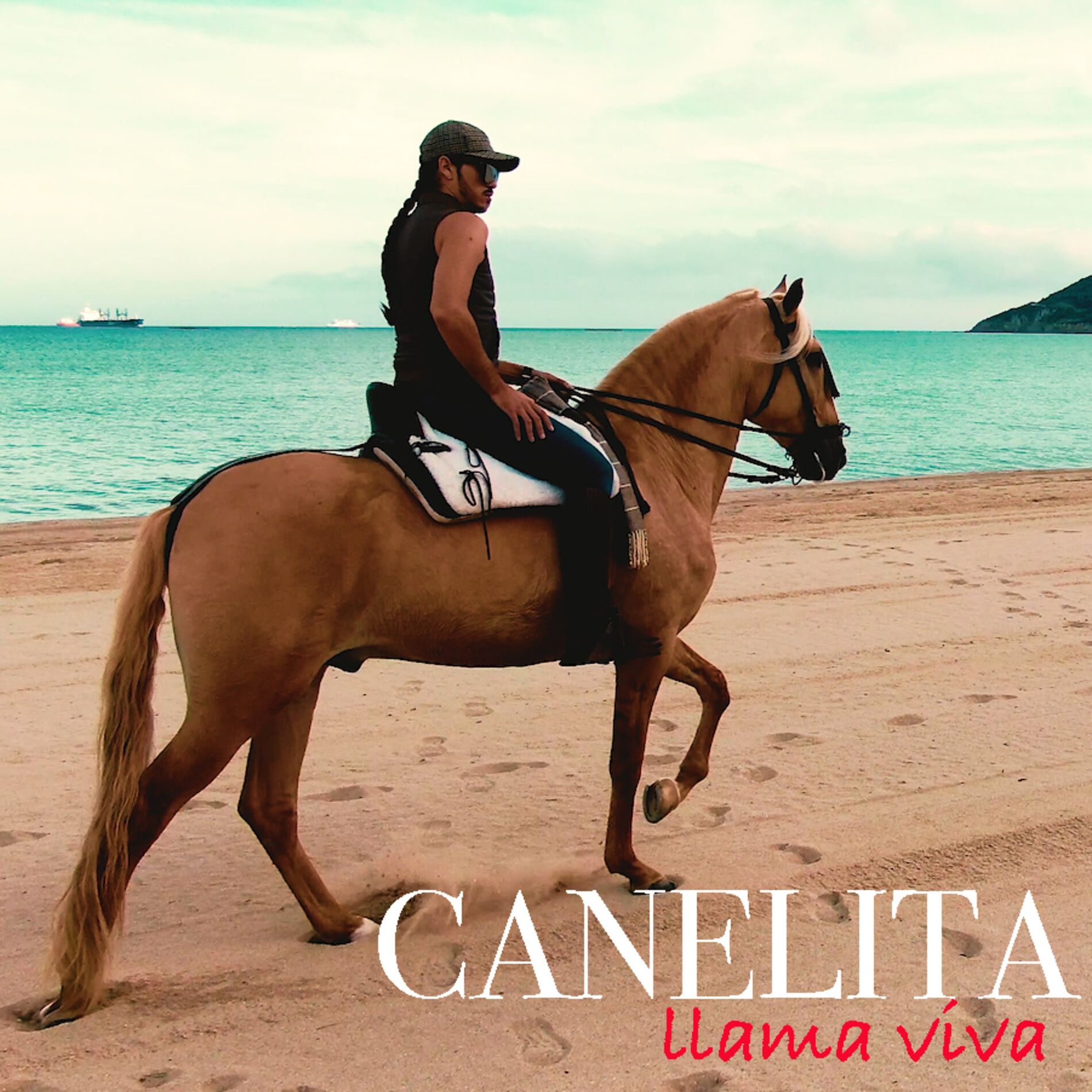 Album cover of Llama Viva