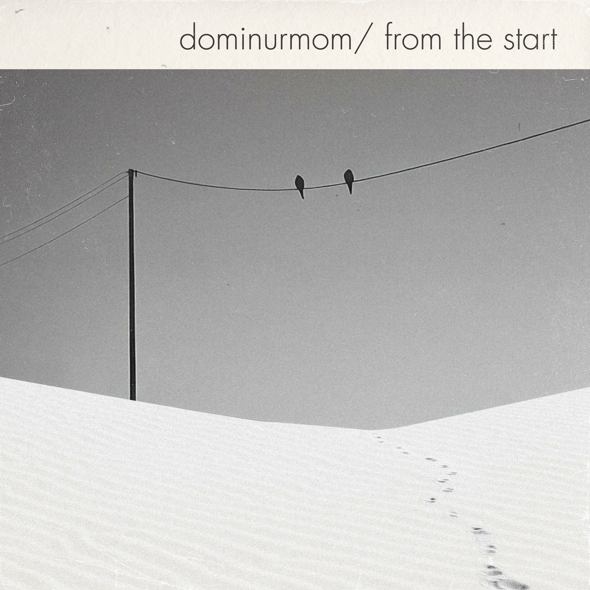 Album cover of From the Start