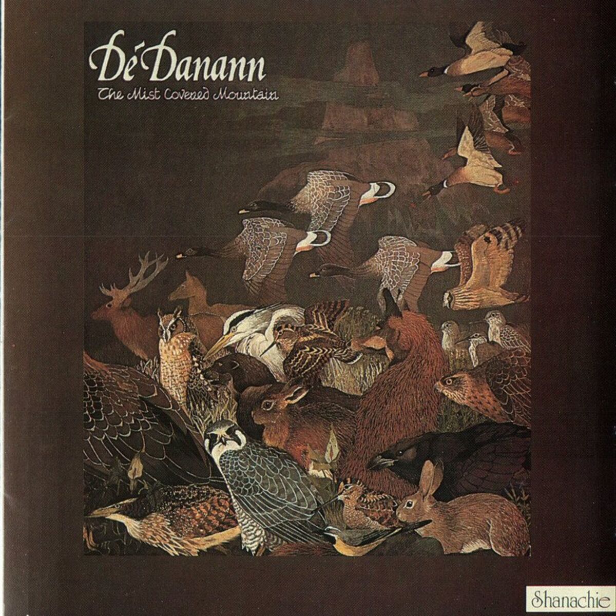 Album cover of The Mist Covered Mountain