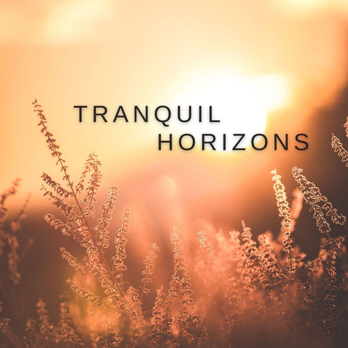 Album cover of Tranquil Horizons