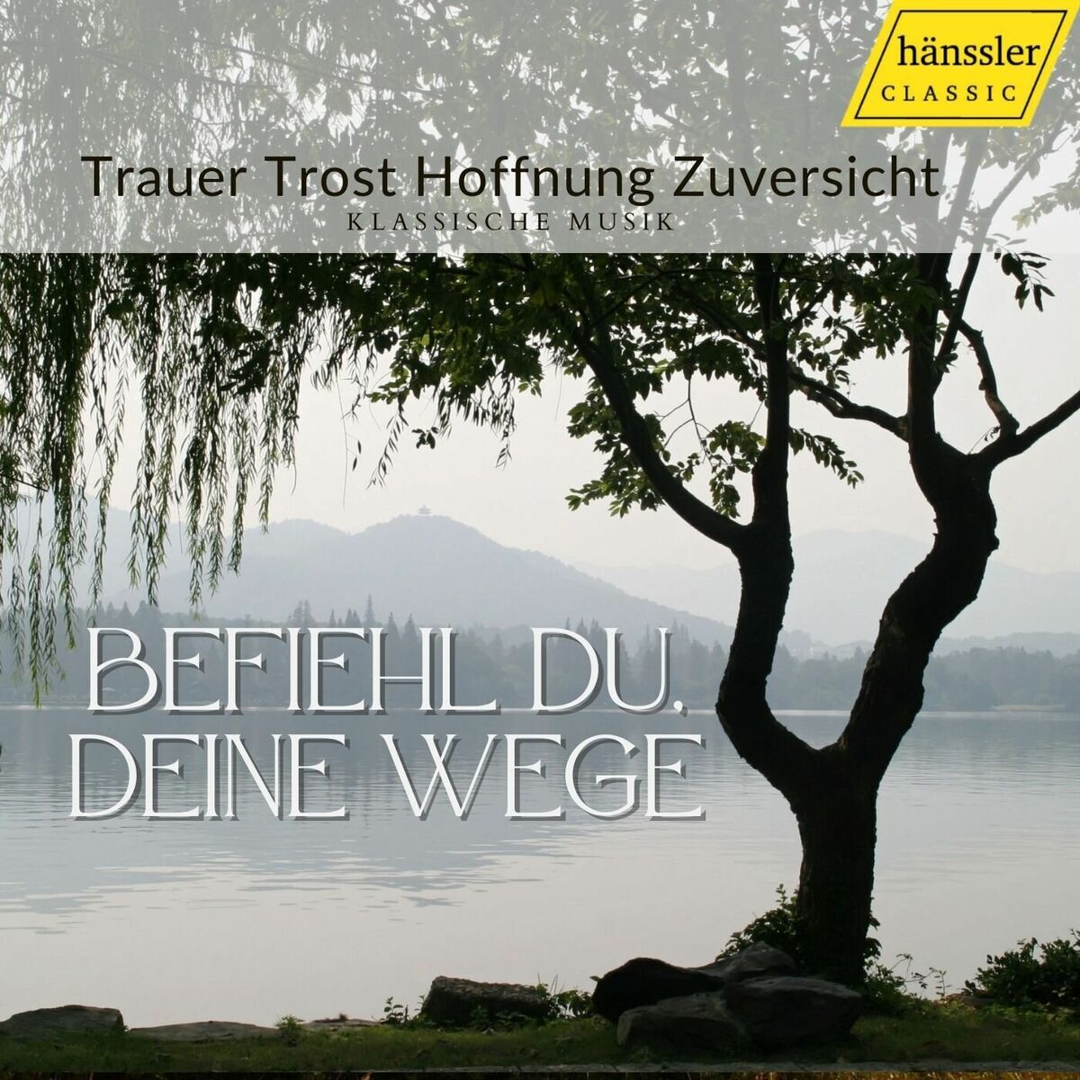 Album cover of Befiehl du deine wege (Remastered 2023)