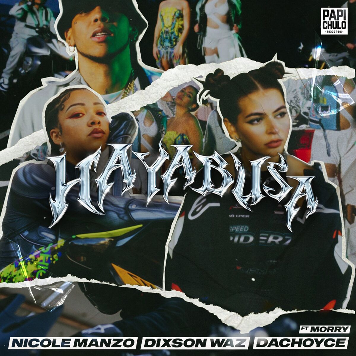 Album cover of Hayabusa