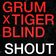 Shout