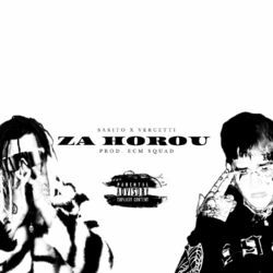 Cover of Za horou