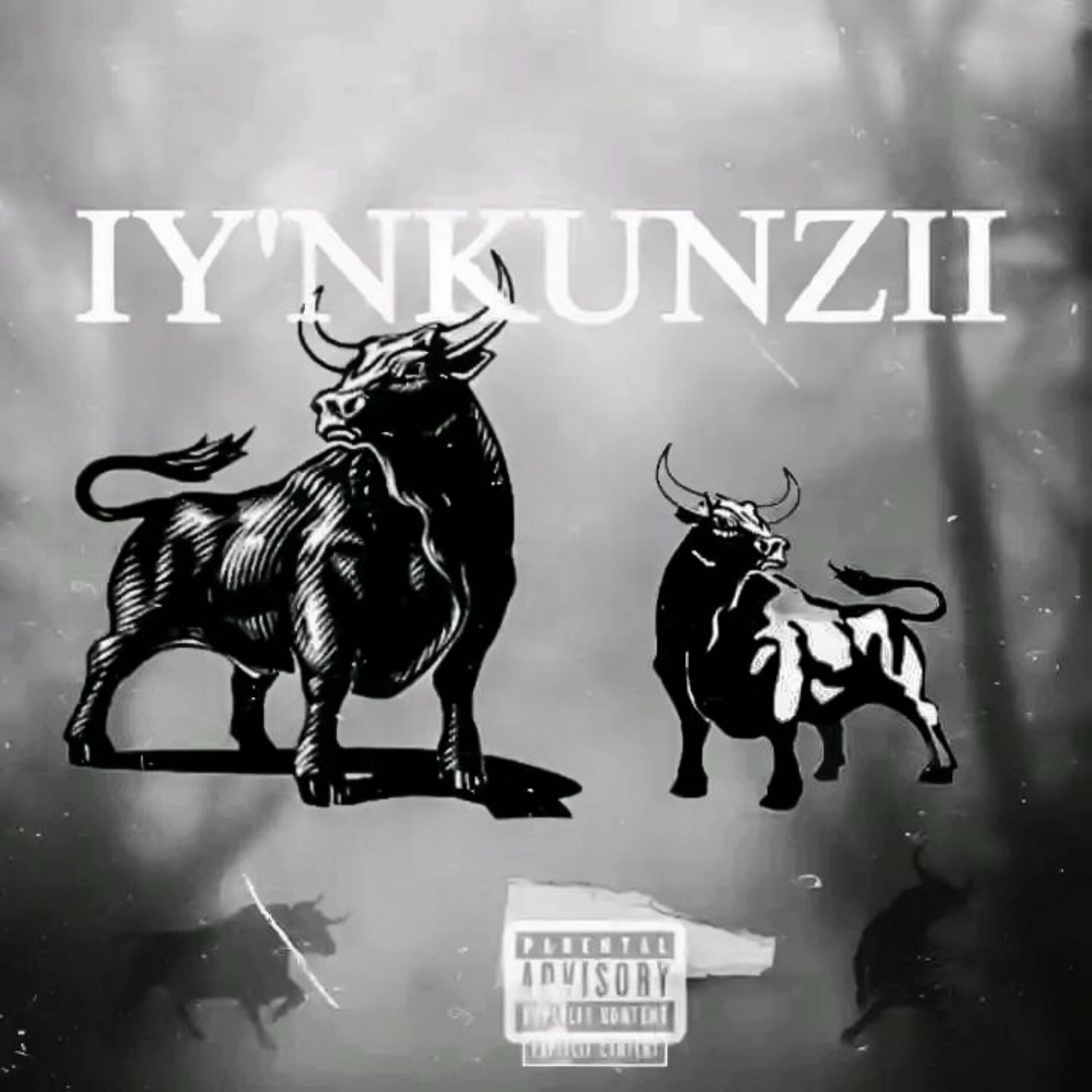 Album cover of Iy'nkunzi