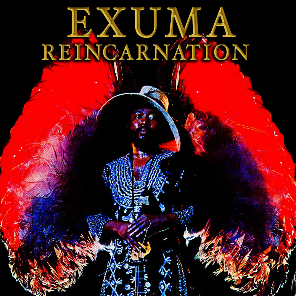 Picture of Reincarnation