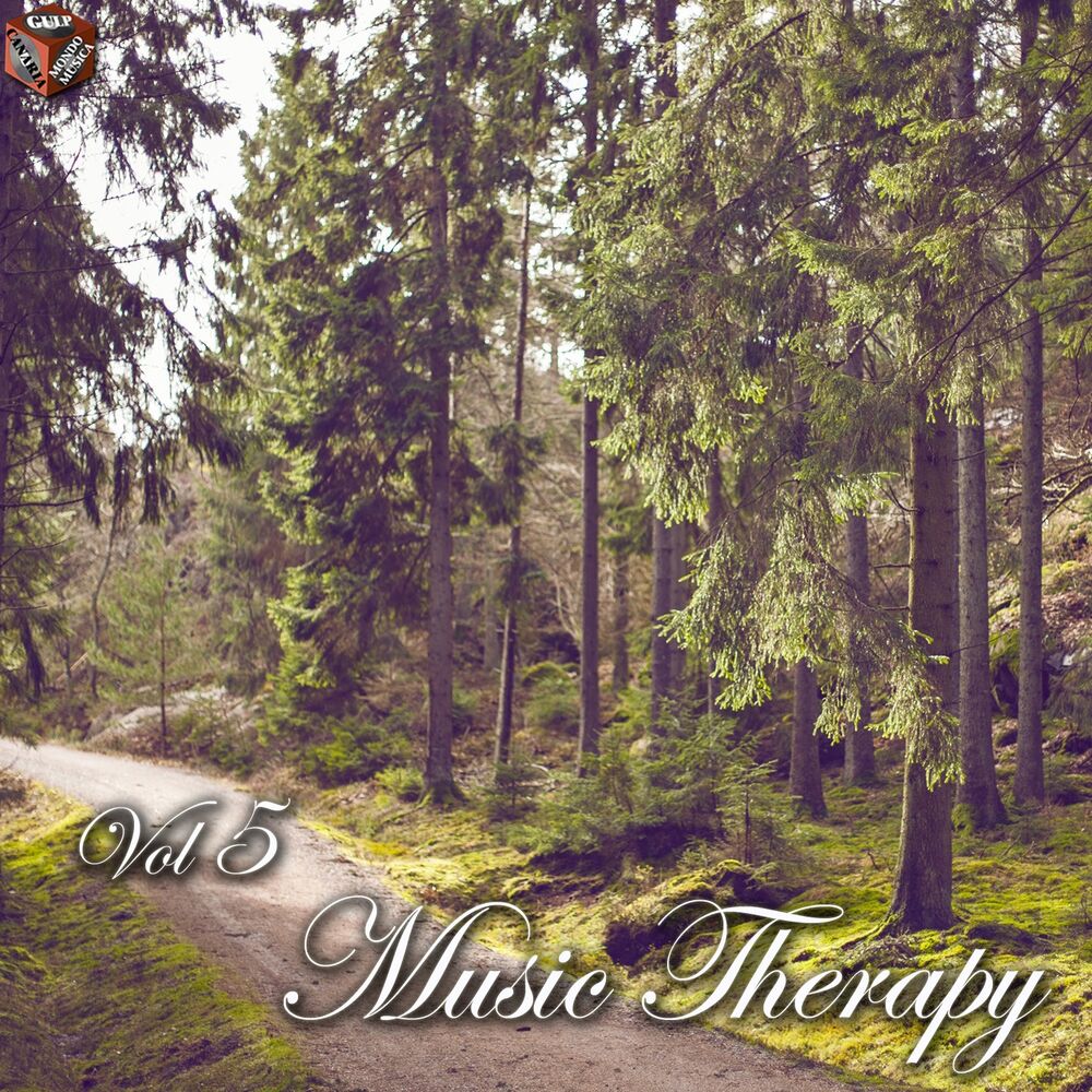 Picture of Music Therapy, Vol. 5