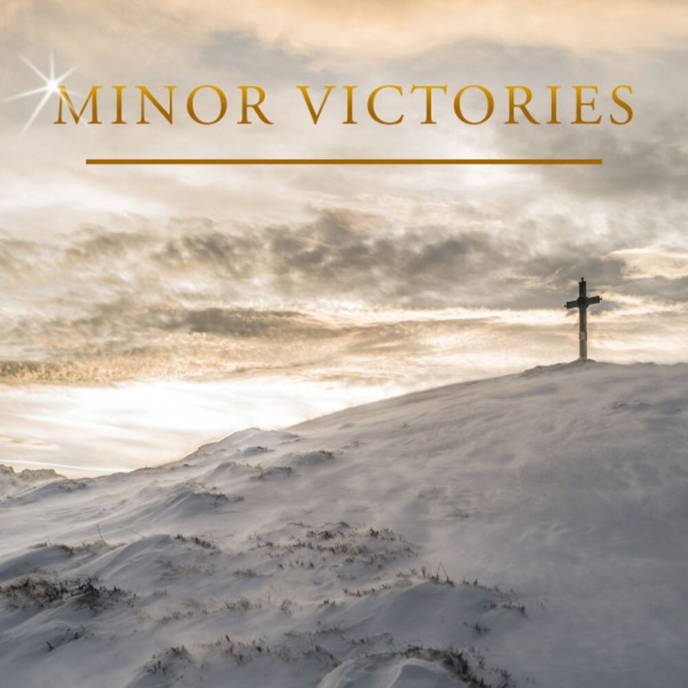 Picture of Minor Victories