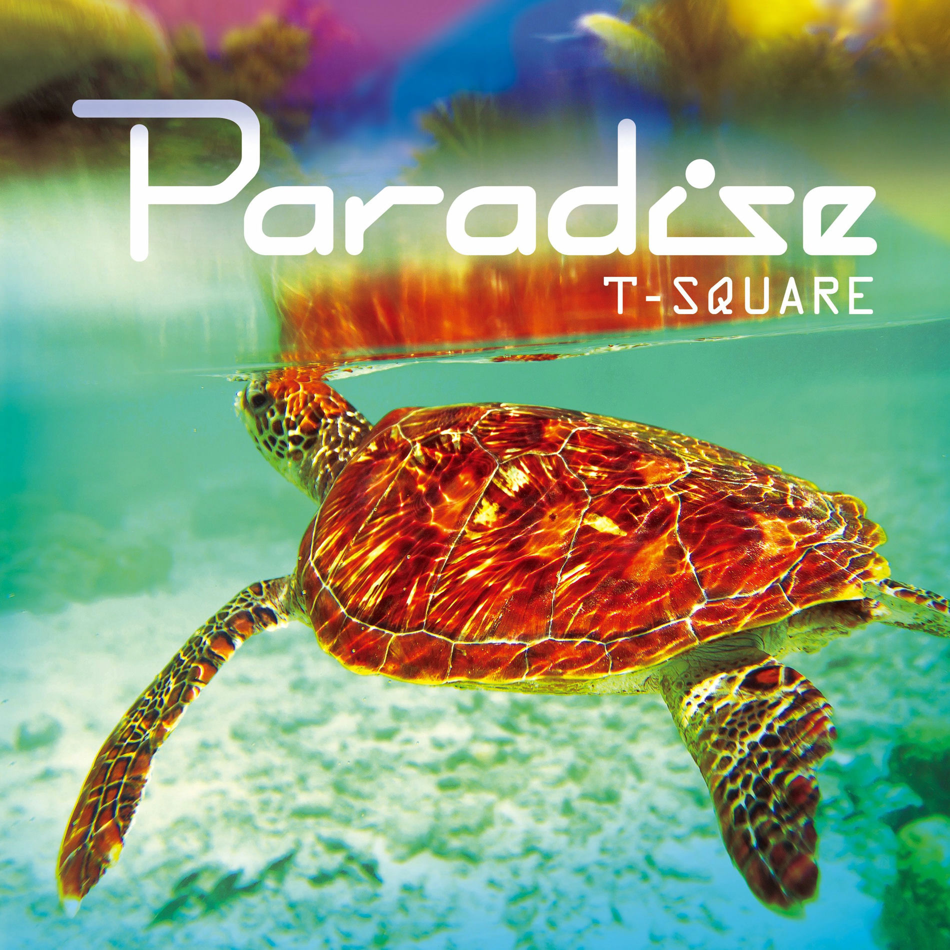 Album cover of Night Cruise