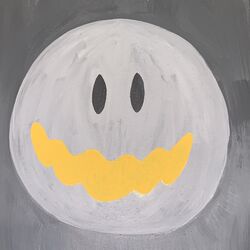 Cover of fake smile