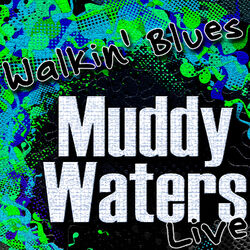 Walkin' Blues (Live)