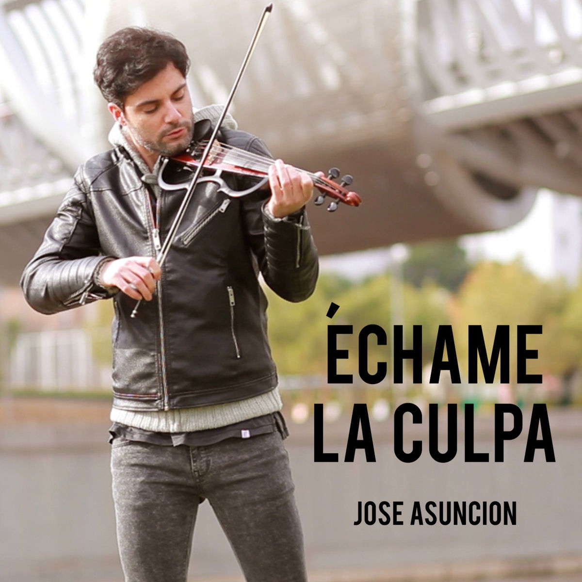 Album cover of Échame la Culpa