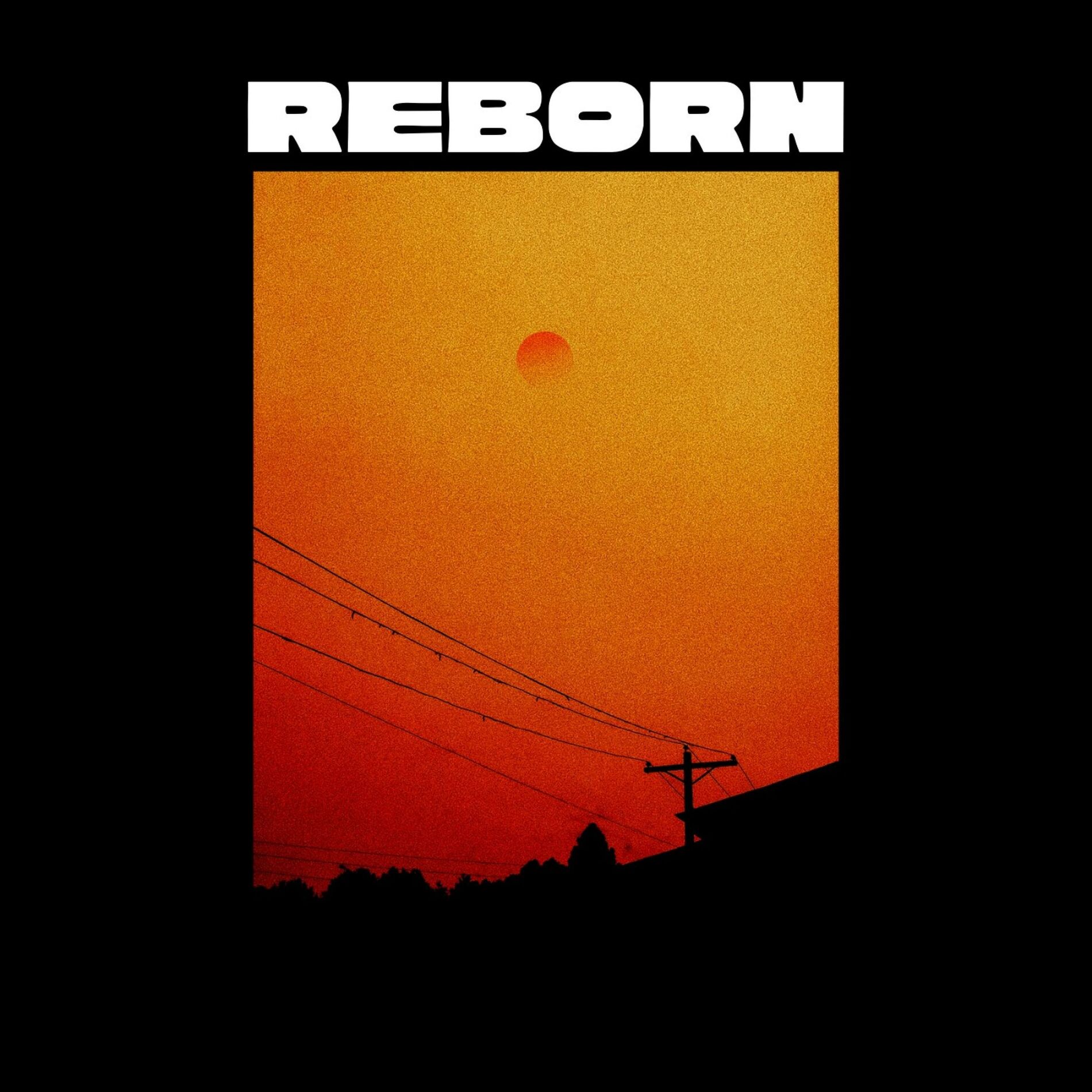Album cover of Reborn