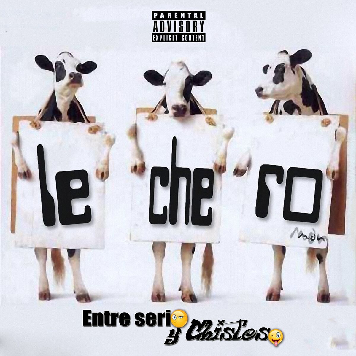 Album cover of Entre Serio y Chistoso