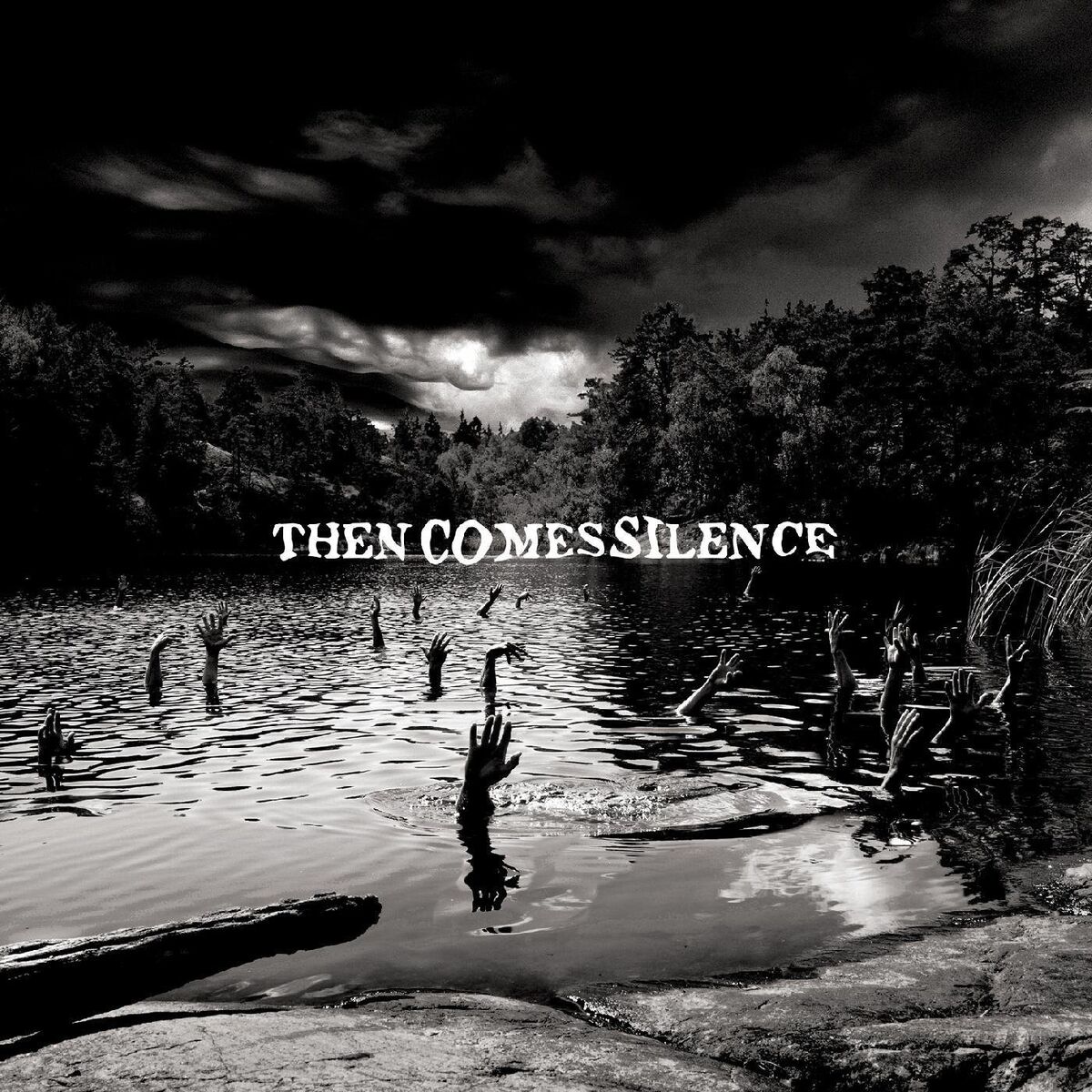 Album cover of Then Comes Silence