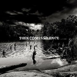 Cover of Then Comes Silence