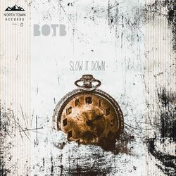 Cover of Slow It Down