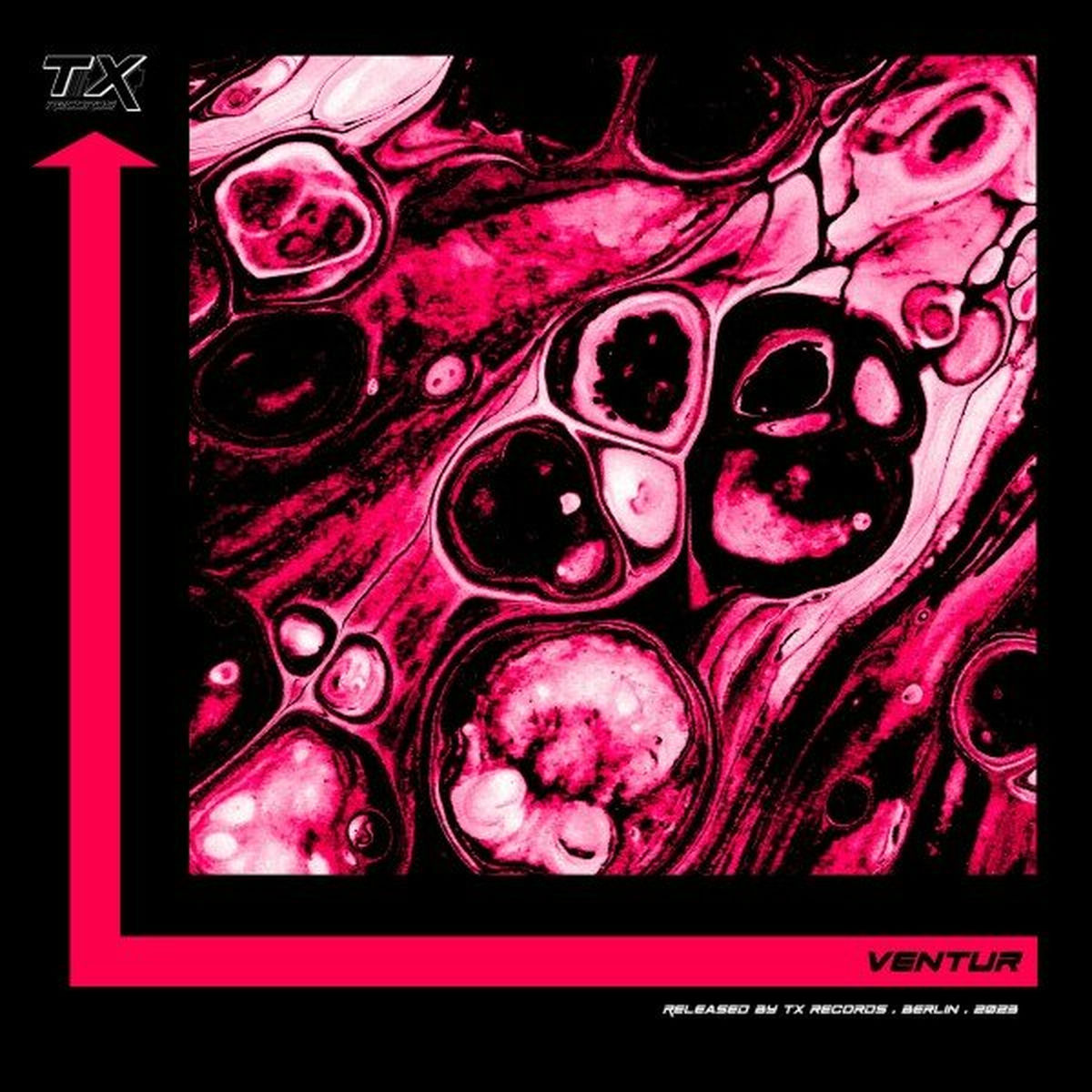 Album cover of Set in Motion