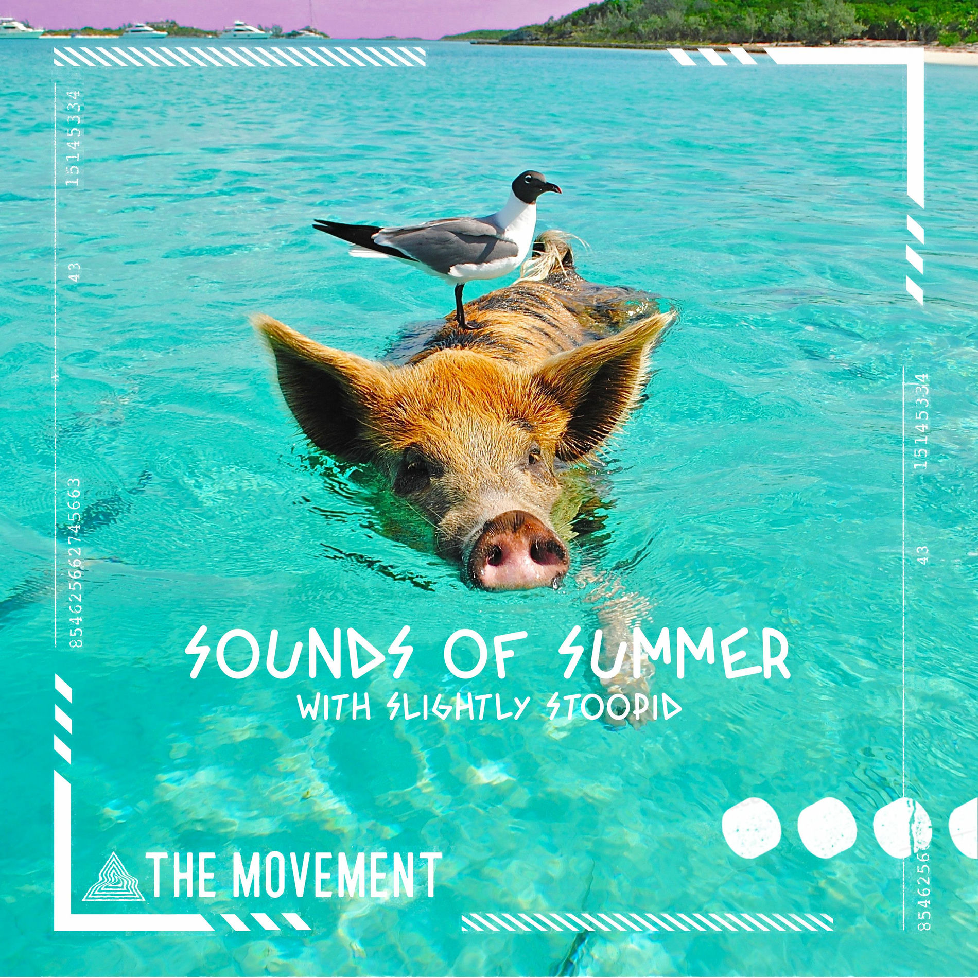 Album cover of Sounds of Summer