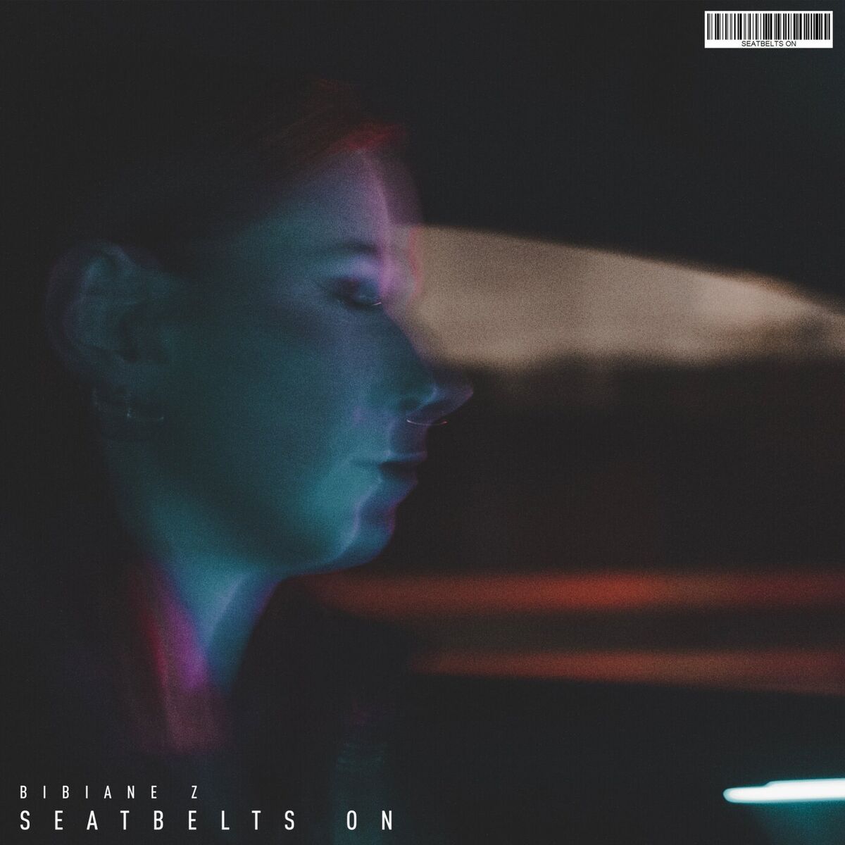 Album cover of Seatbelts On