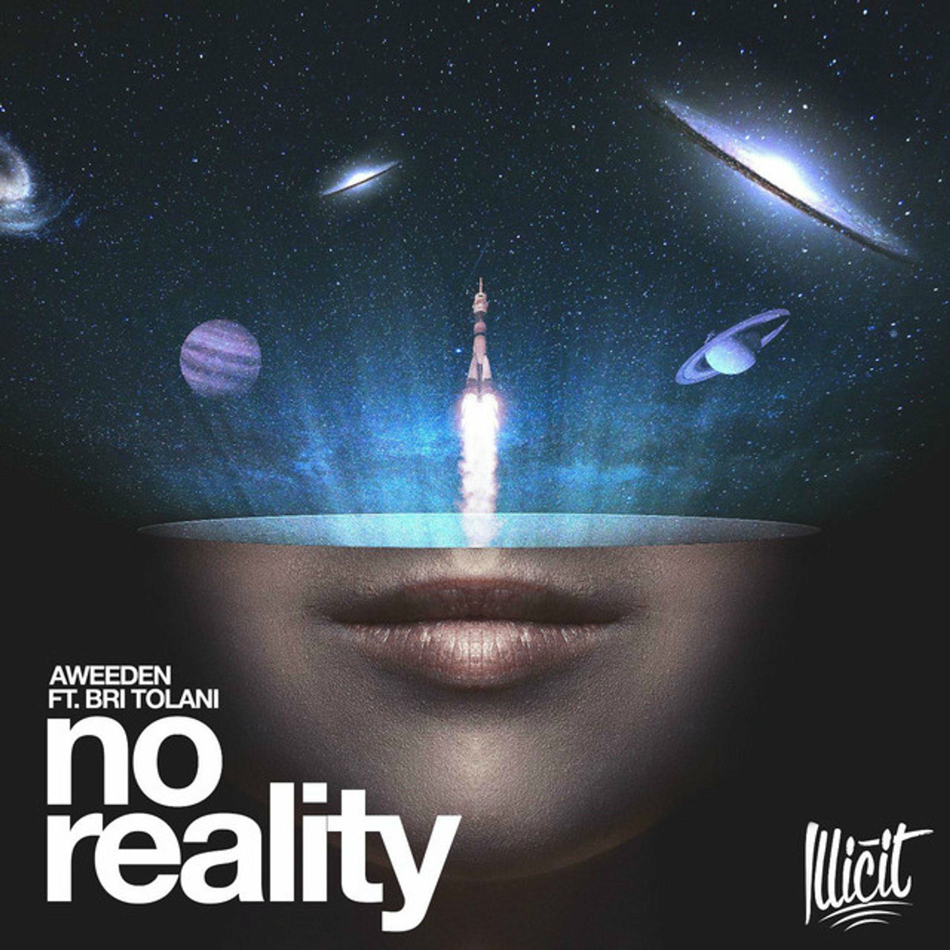 Album cover of No Reality (feat. Bri Tolani)